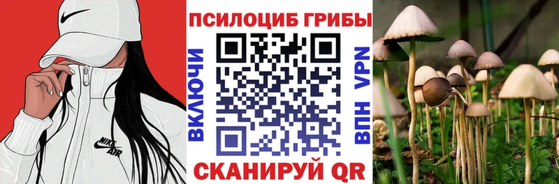 Псилоцибиновые грибы мицелий  hydra вход  Славск 